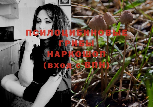 альфа пвп Корсаков